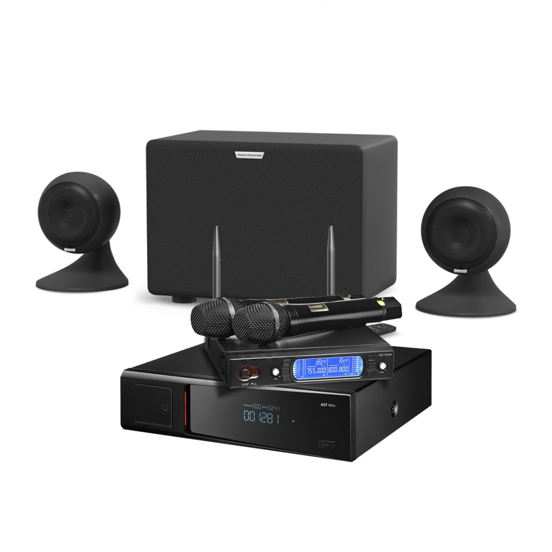 караоке-комплект AST Mini Sound Sphere в Каменск-Шахтинске