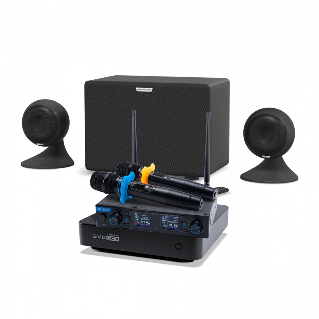 караоке-комплект EVOBOX + EvoSound Sphere 2.1 в Каменск-Шахтинске