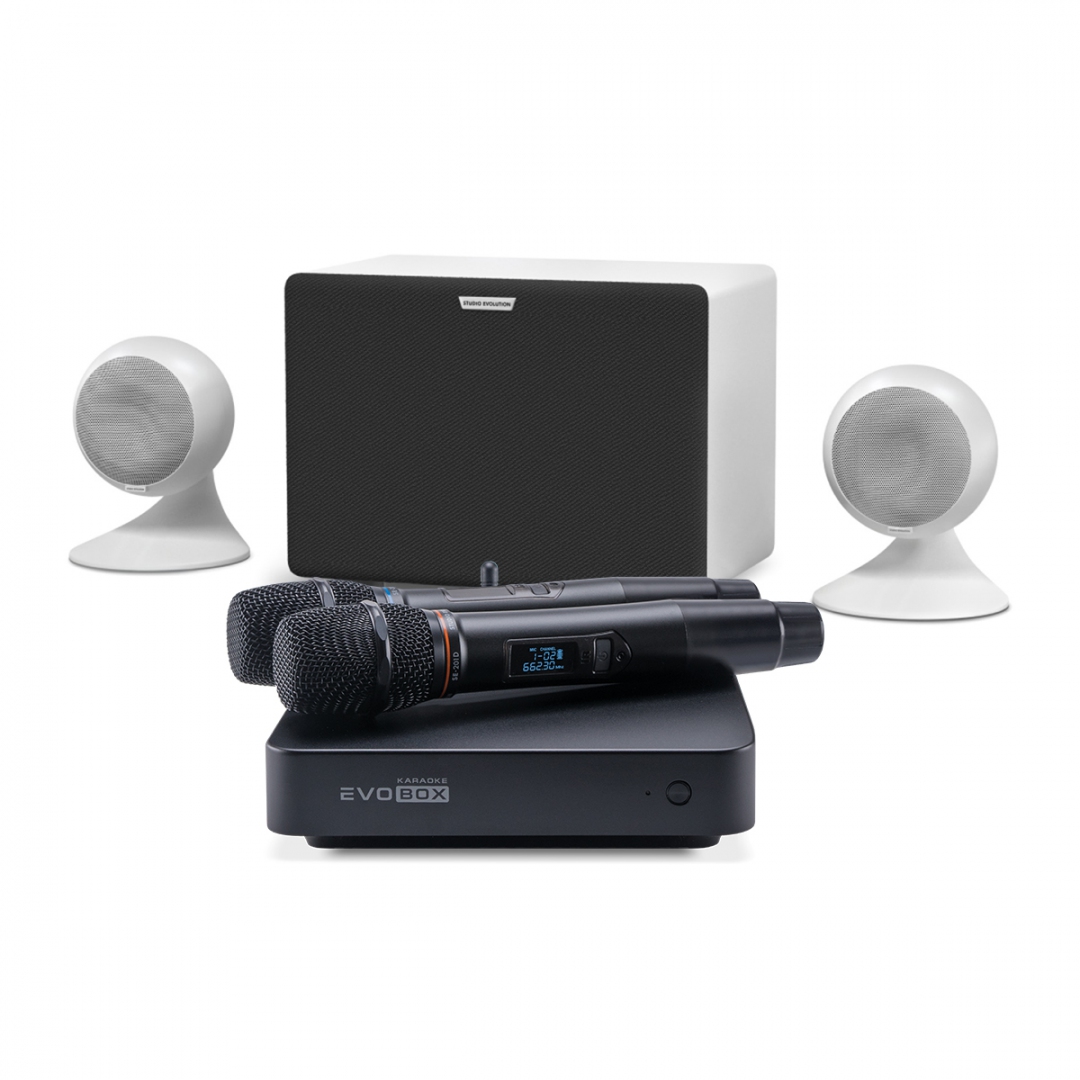 караоке-комплект EVOBOX Classic + EvoSound Sphere 2.1 в Каменск-Шахтинске