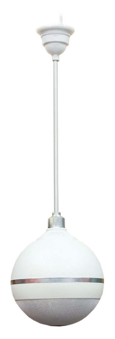 SVS Audiotechnik BWS-603 Громкоговоритель подвесной потолочный в Каменск-Шахтинске