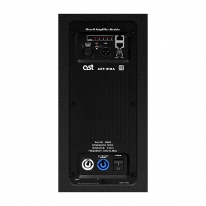 Активная акустическая система AST-310A в Каменск-Шахтинске