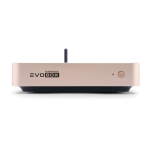 EVOBOX Classic караоке-система для дома в Каменск-Шахтинске