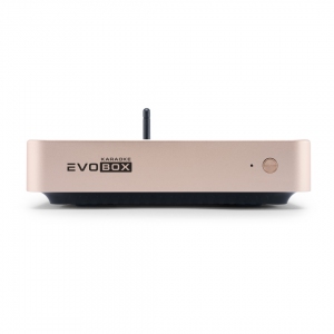 EVOBOX Plus караоке-система для дома в Каменск-Шахтинске