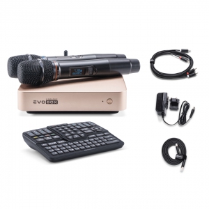 EVOBOX Plus караоке-система для дома в Каменск-Шахтинске