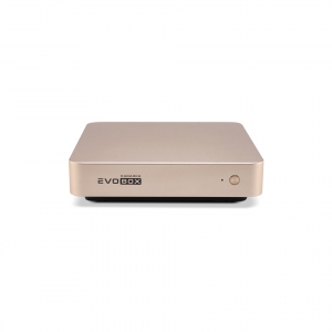 EVOBOX с микрофонами в Каменск-Шахтинске