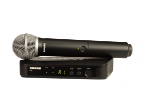 SHURE BLX24E/PG58 M17 вокальная радиосистема в Каменск-Шахтинске
